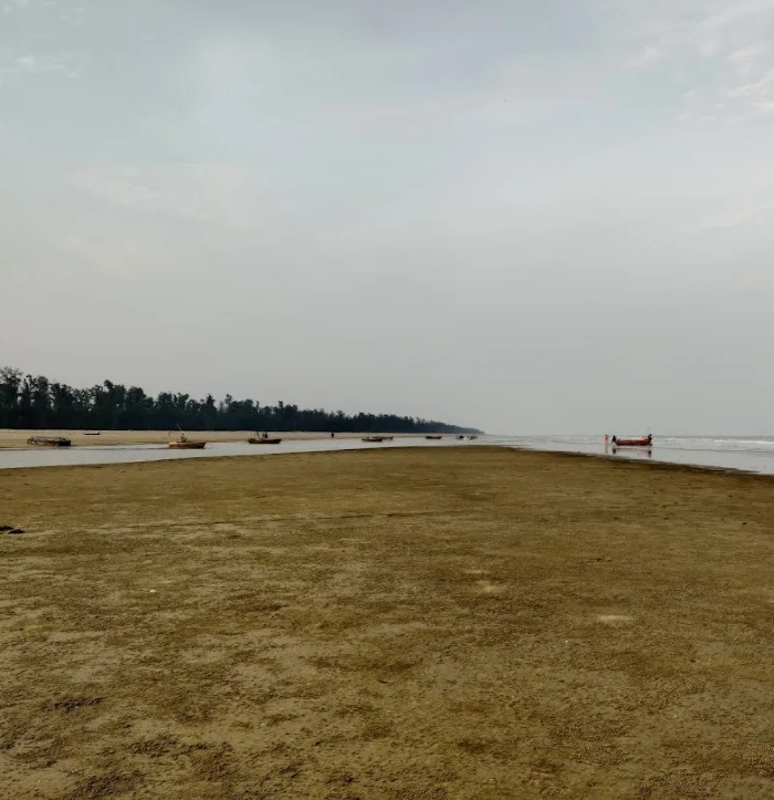 blog-3